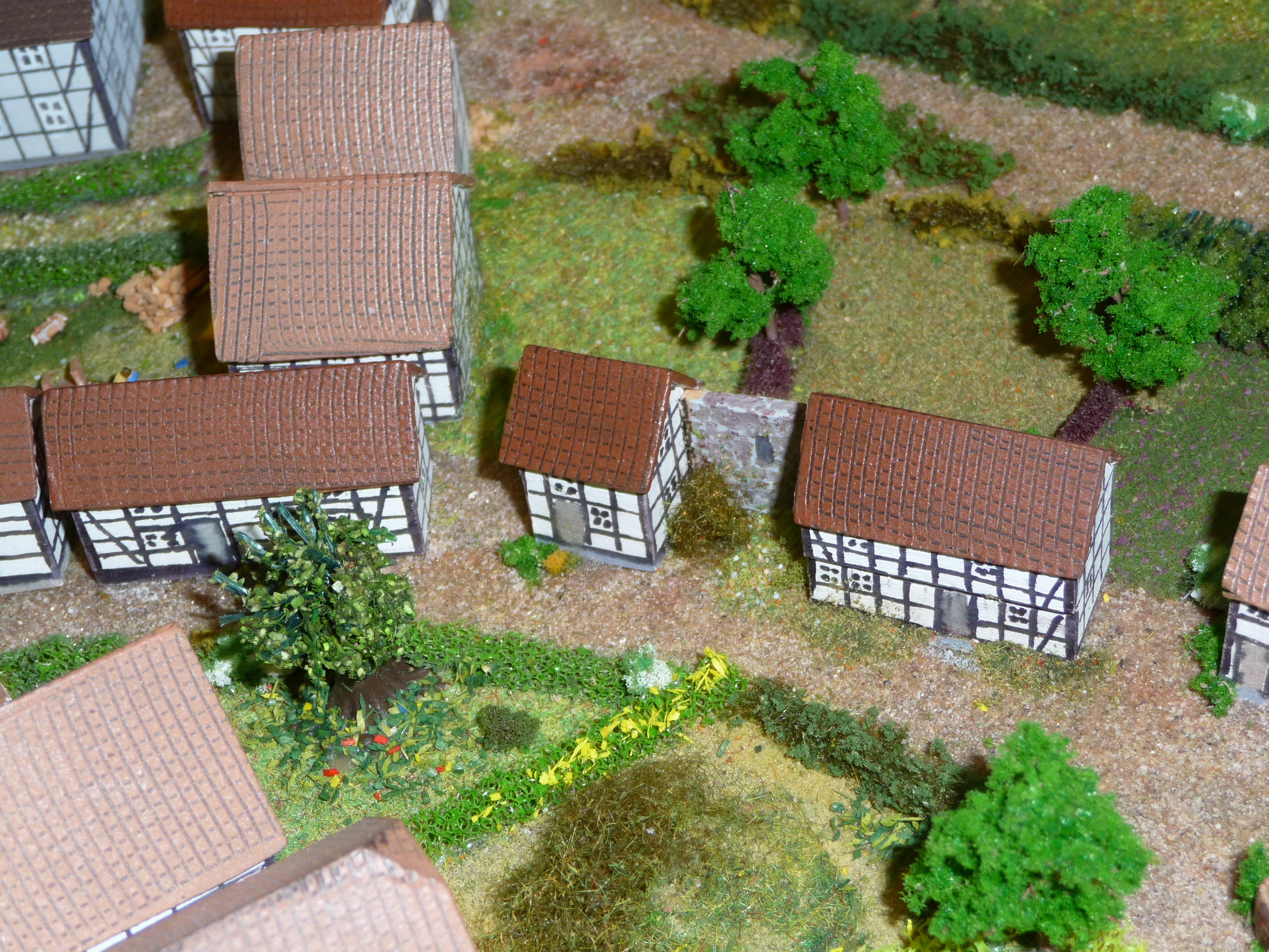 Stadtmauer und Schmarotzerhaus