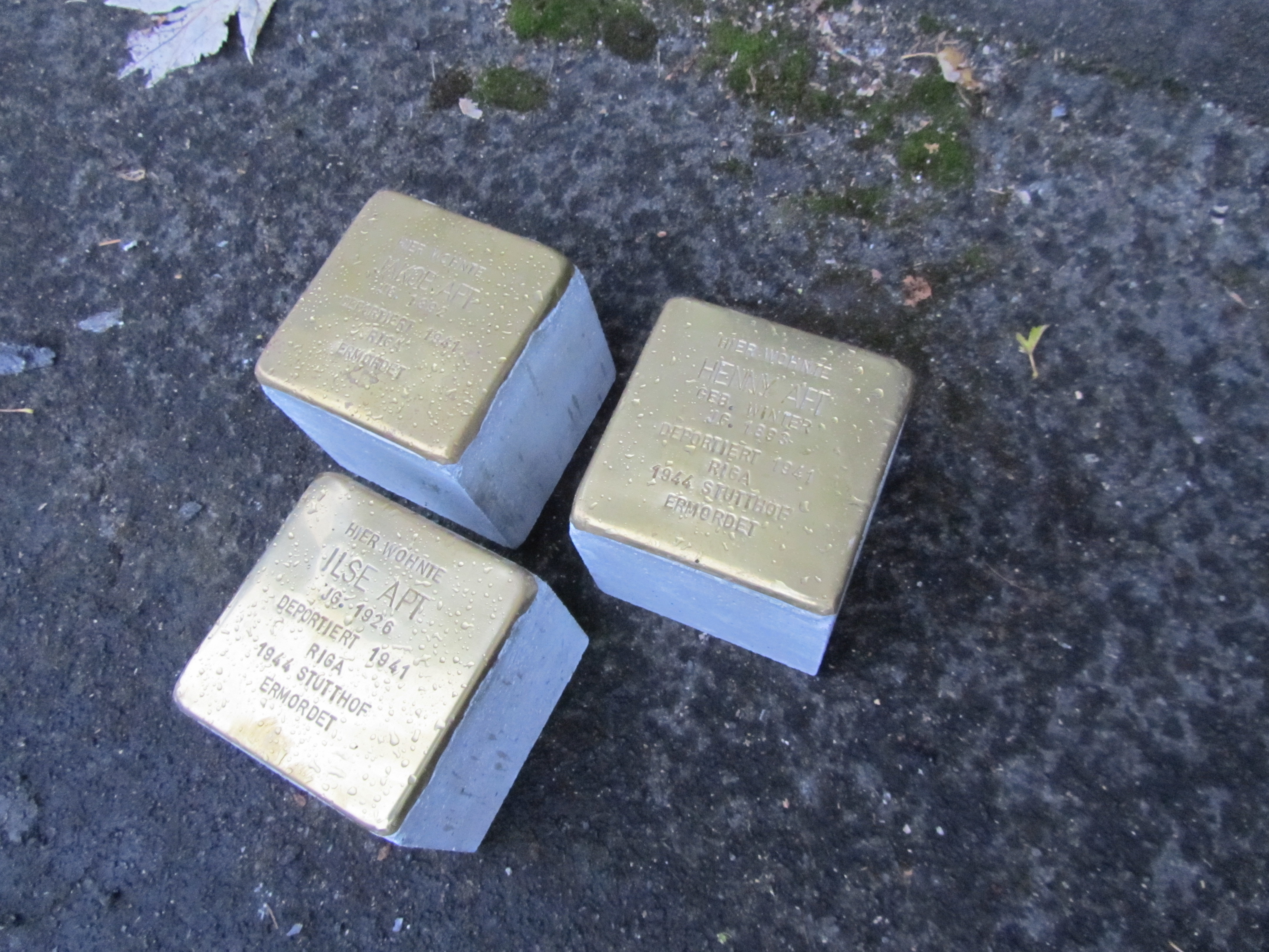Stolpersteine: Die Erinnerungsquader mit beschrifteten Messingoberteil