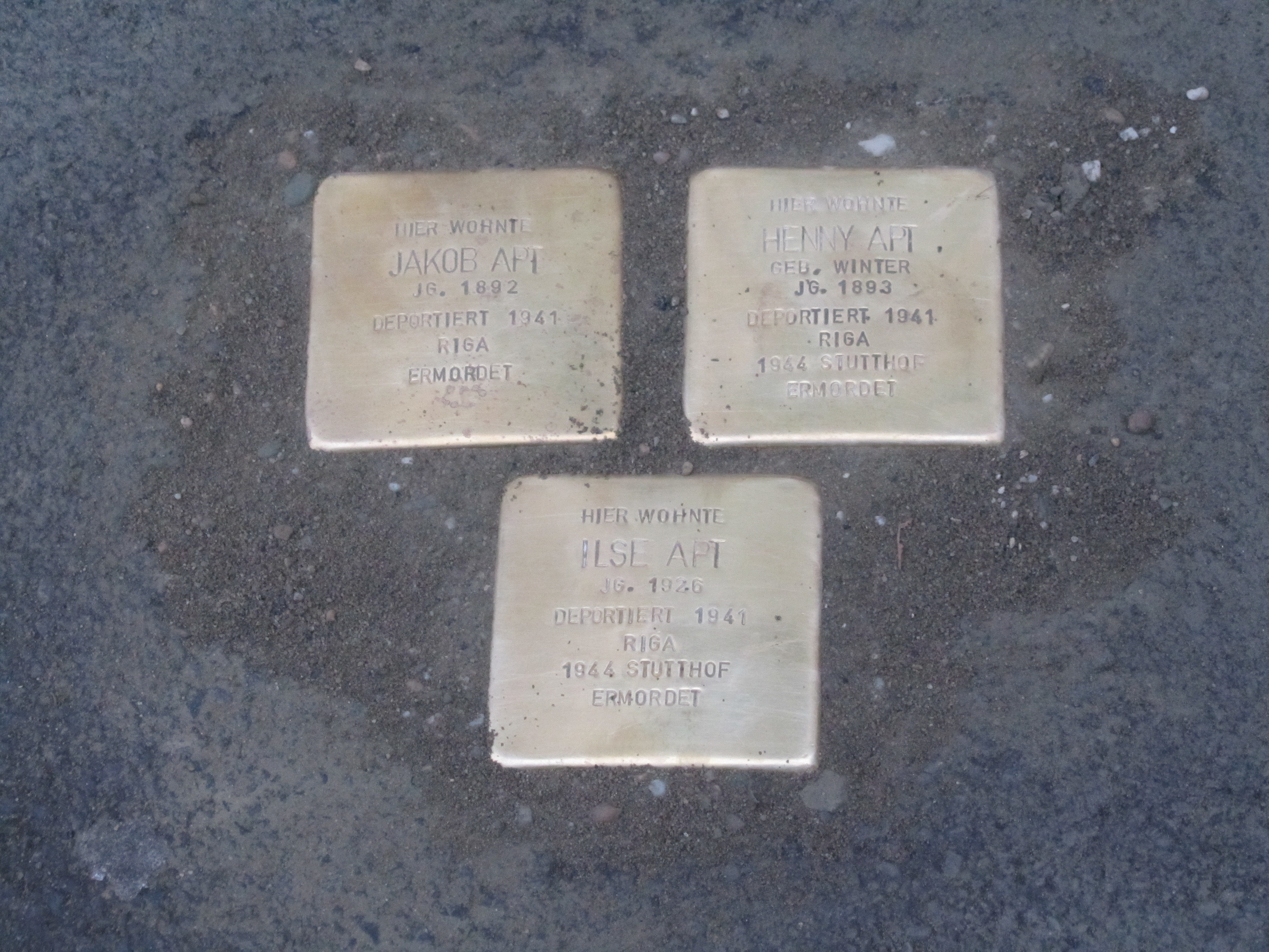 Stolpersteine für die Familie Apt, Hellefelderstraße 39, Arnsberg