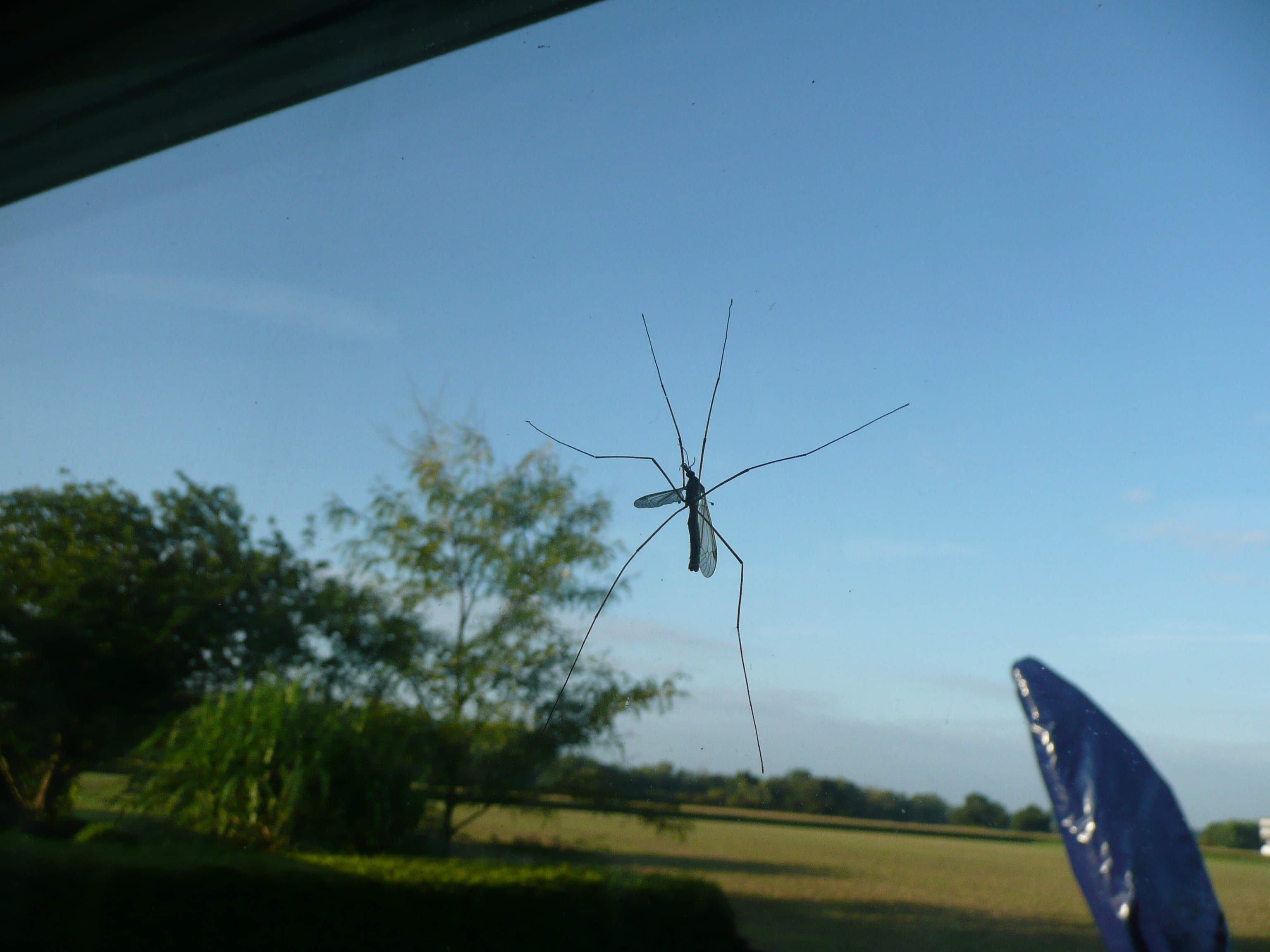30.8.11 ...ich will rein .