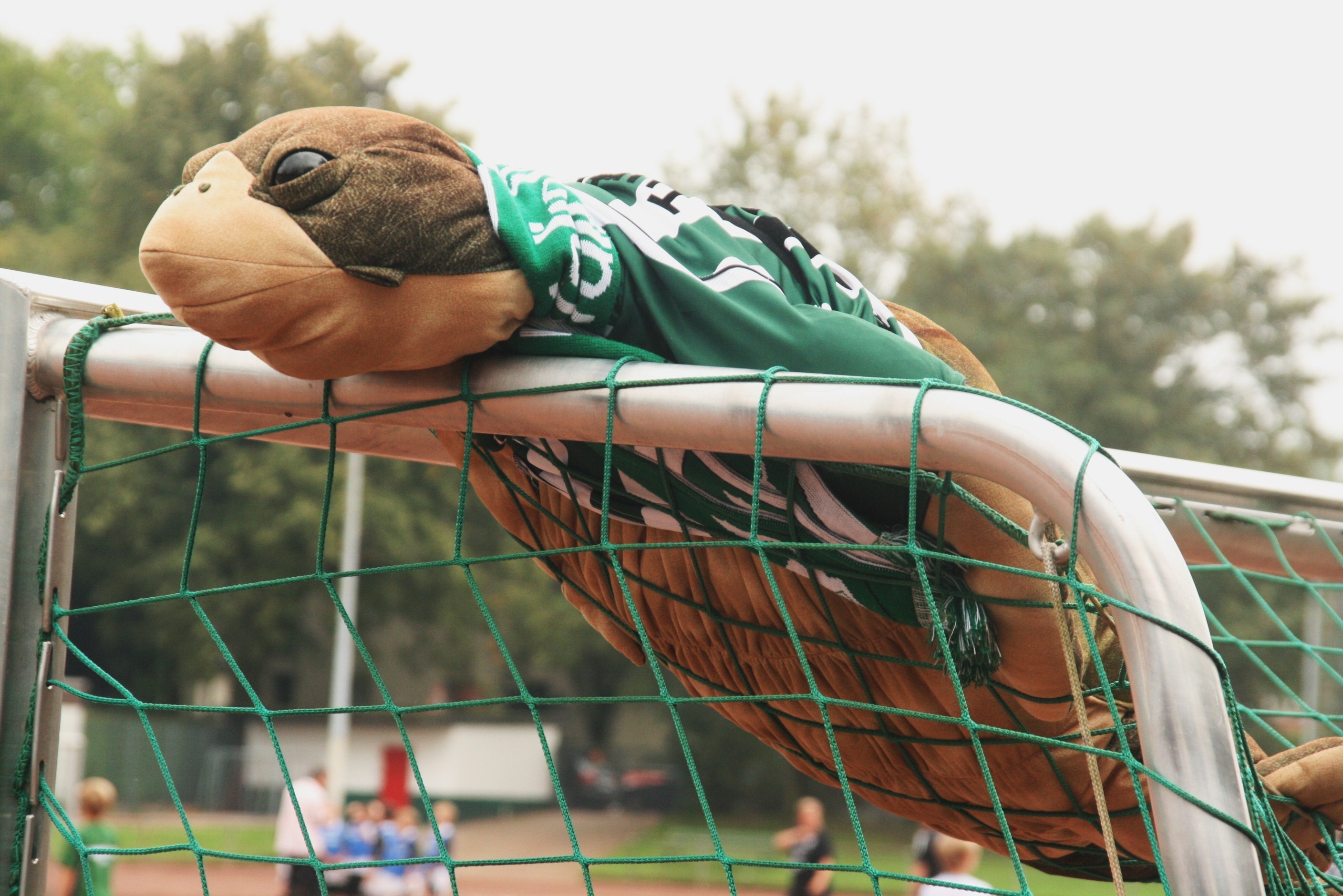 Maskottchen "Turtle" bewacht das eigene Tor