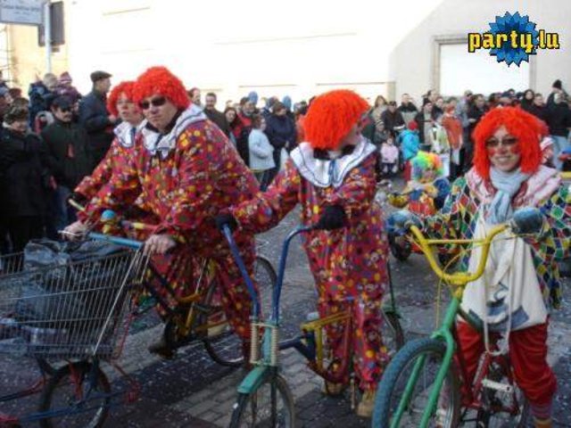 Auftritte beim Karneval und anderen Umzügen