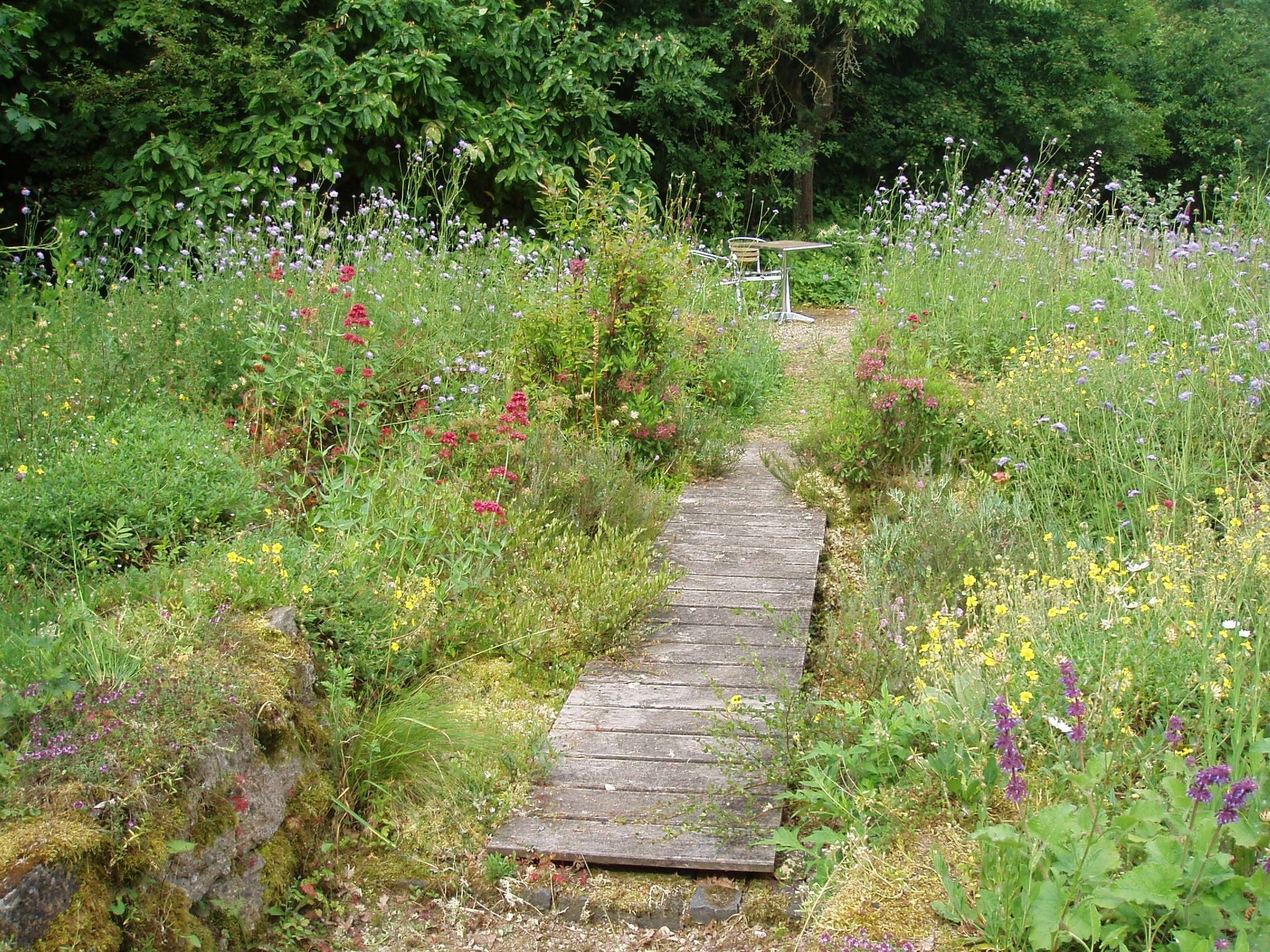 Lebens(t)raum Naturgarten