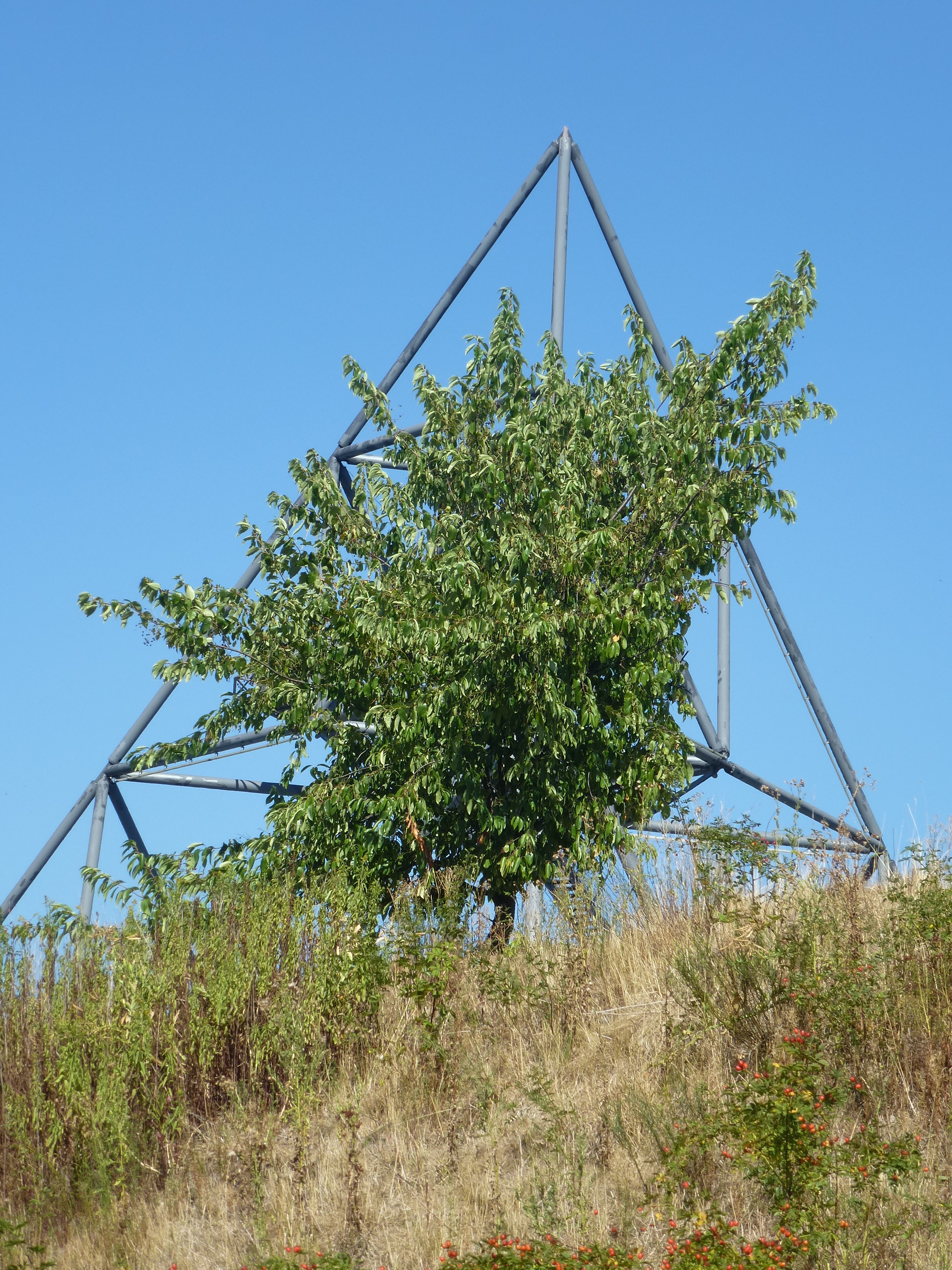 hier sieht unser Tetraeder sogar klein aus