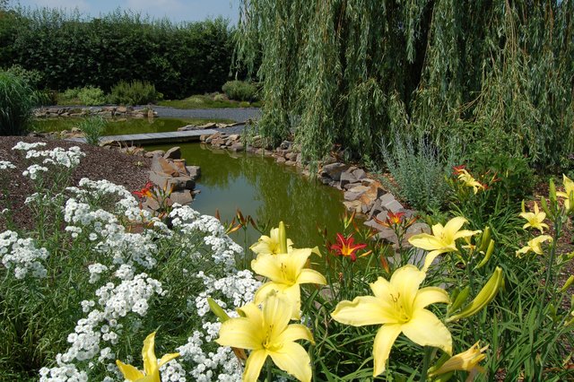 Kastaniengarten