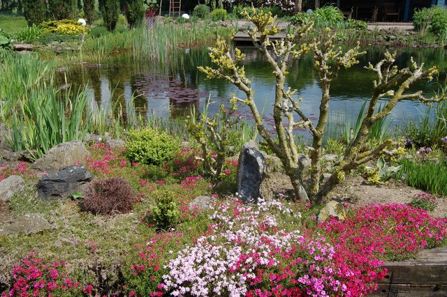 Kastaniengarten