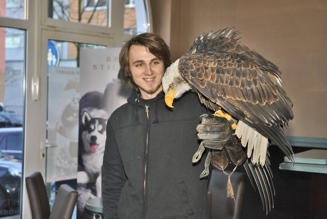 Stadtspiegel-Praktikant David Fröhlich ließ sich nicht zweimal bitten und ließ "Alaska" auf seinem Arm starten, landen und fressen.
