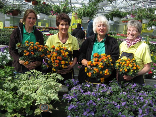 Das Service- und Beratungsteam der Gärtnerei Stefen in Dormagen-Gohr:
von links Sylvia Stefen, Maria Stefen, Petra Konzak und Rosi Tröster.