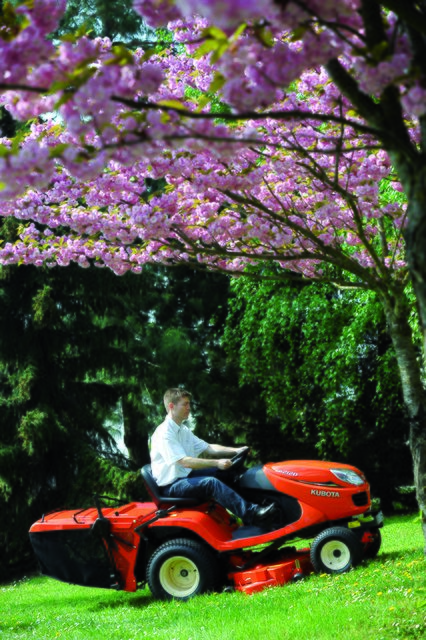 Profiunterstützung bei der Gartengestaltung