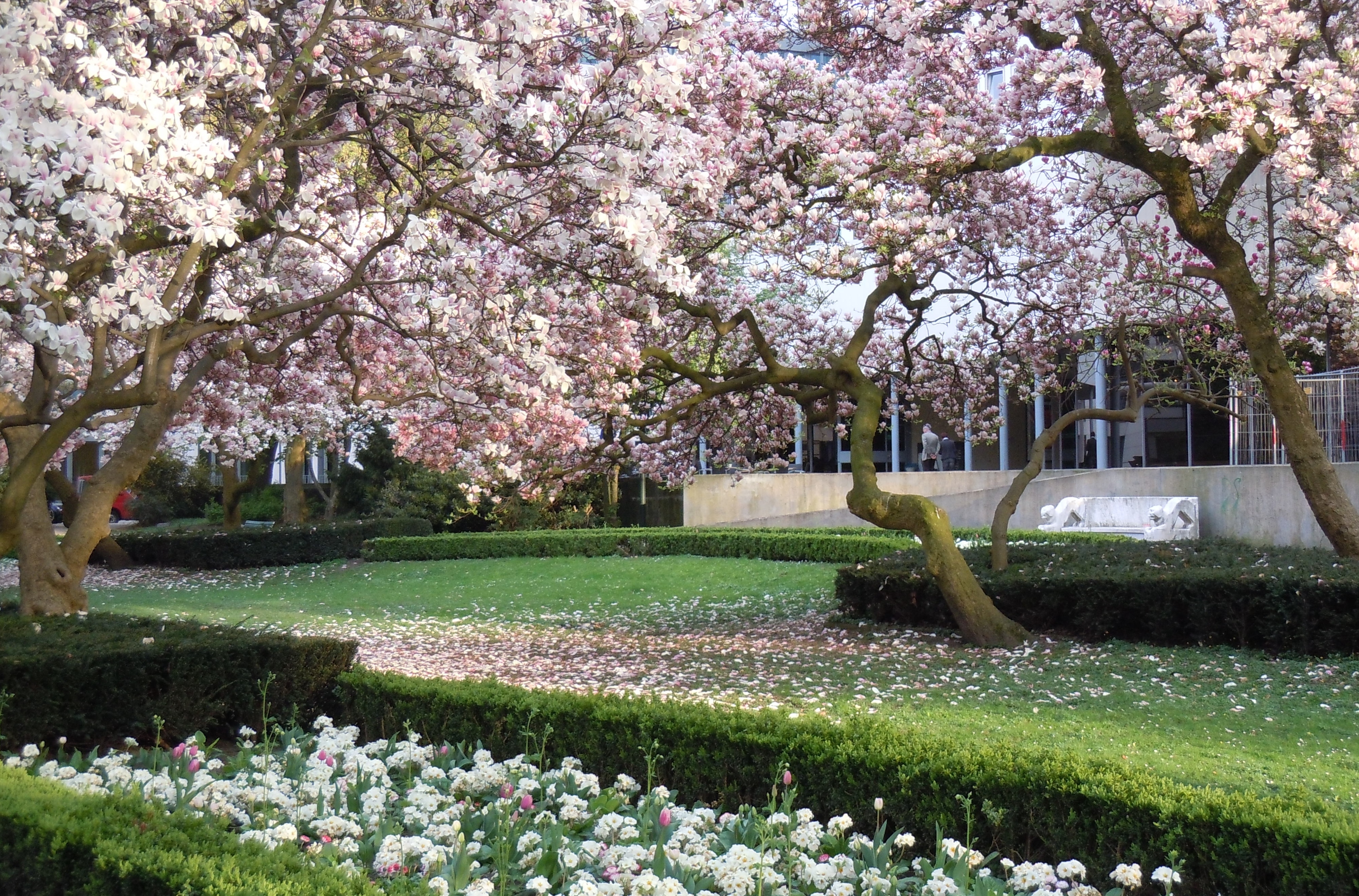 Goltstein-Parterre vor Ela
