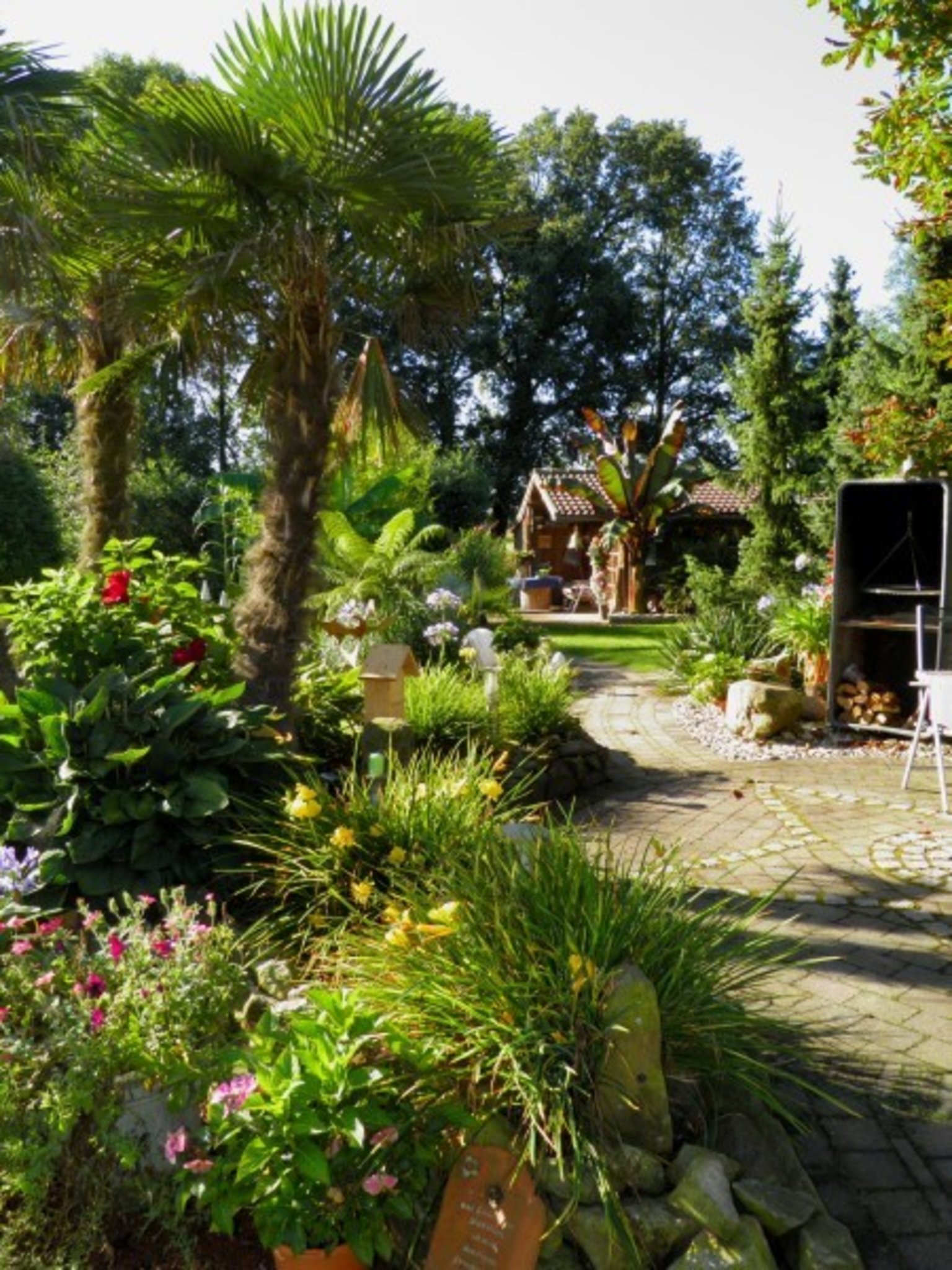 Offener Garten Seggewiß Offene Gartenpforte Gartentage Aktuell
