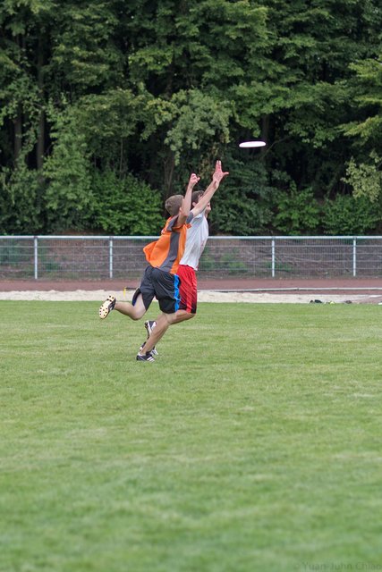 Wer fängt den Frisbee?
