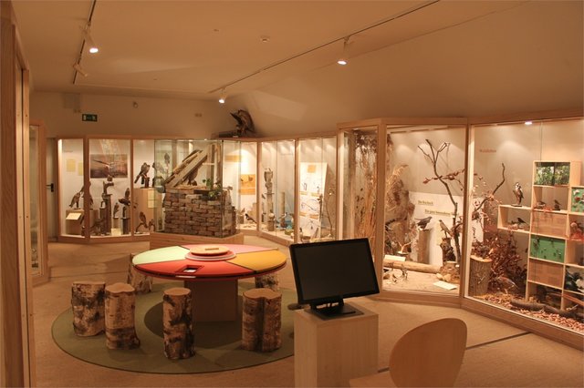... auch einige von uns standen Pate für das ein oder andere Sprichwort ... | Foto: Museum Bislich