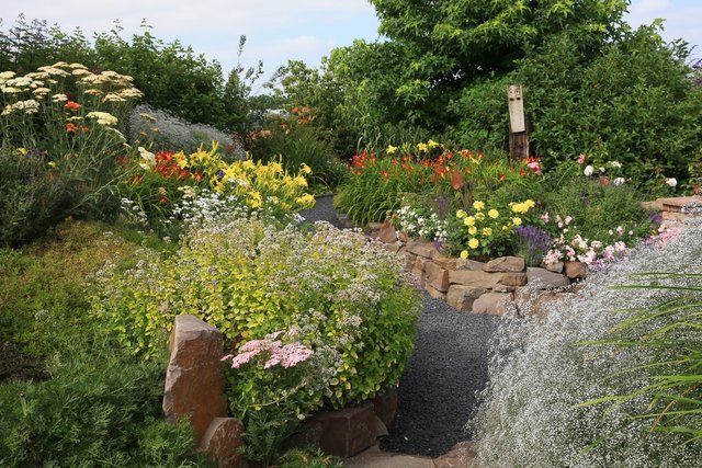 Weg, Schotter, grau, schwarz, Naturstein-Mauer, Staudenbeet, gemischtes Beet, Taglilie, Hemerocallis, Blüte, gelb, orange, essbare Blüten, Schleierkraut, Gypsophila, weiß, Majoran, Oregano 'Aurea', gelbblättrig, Kräuter, Schafgarbe, Achillea, Lavendel, Lavandula, violett, Gelbe Strauchrose, Rose, Gehölzkulisse, Gehölze, Sichtschutz, Kunst aus Holz, Garten-Dekoration,