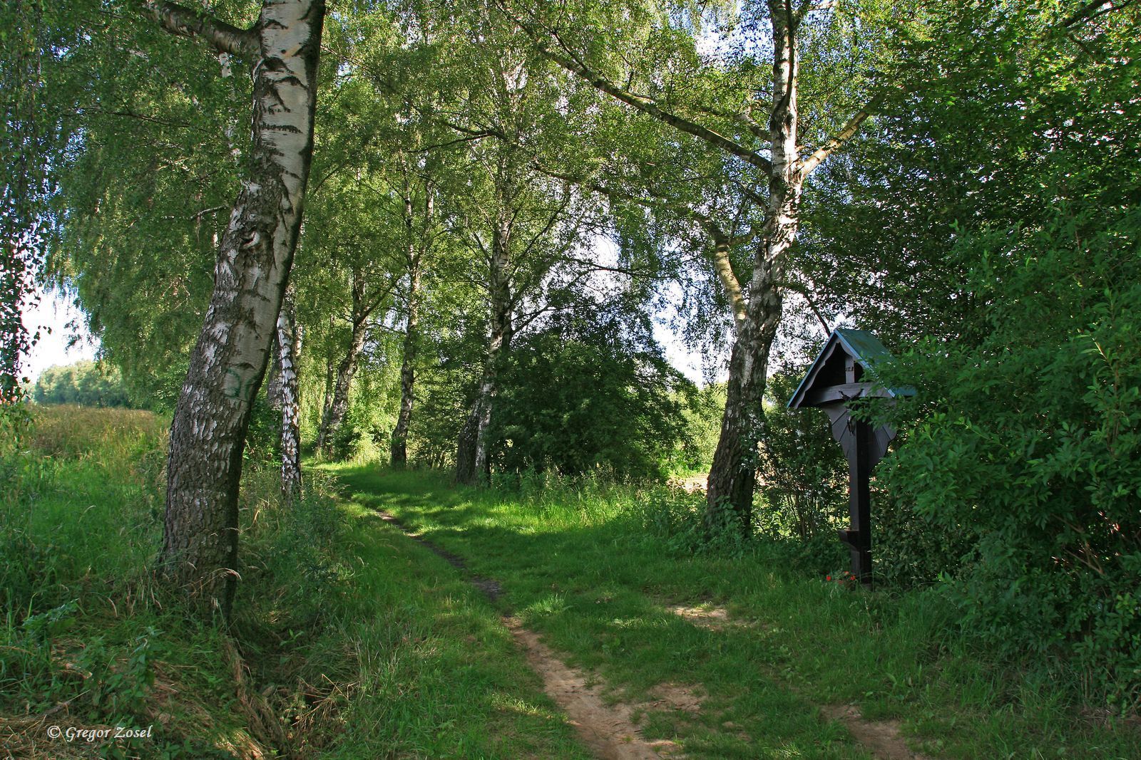 der Weg zum Tummelplatz.