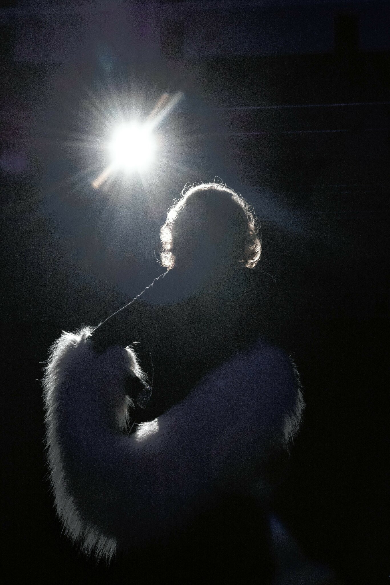 Marlene und Die Dietrich