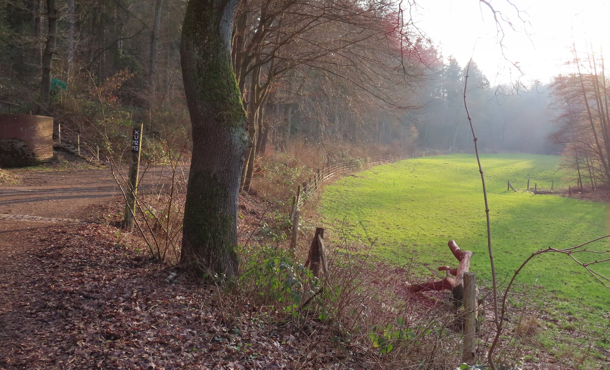 Freie Plätze: Fackelwanderung im Muttental Witten