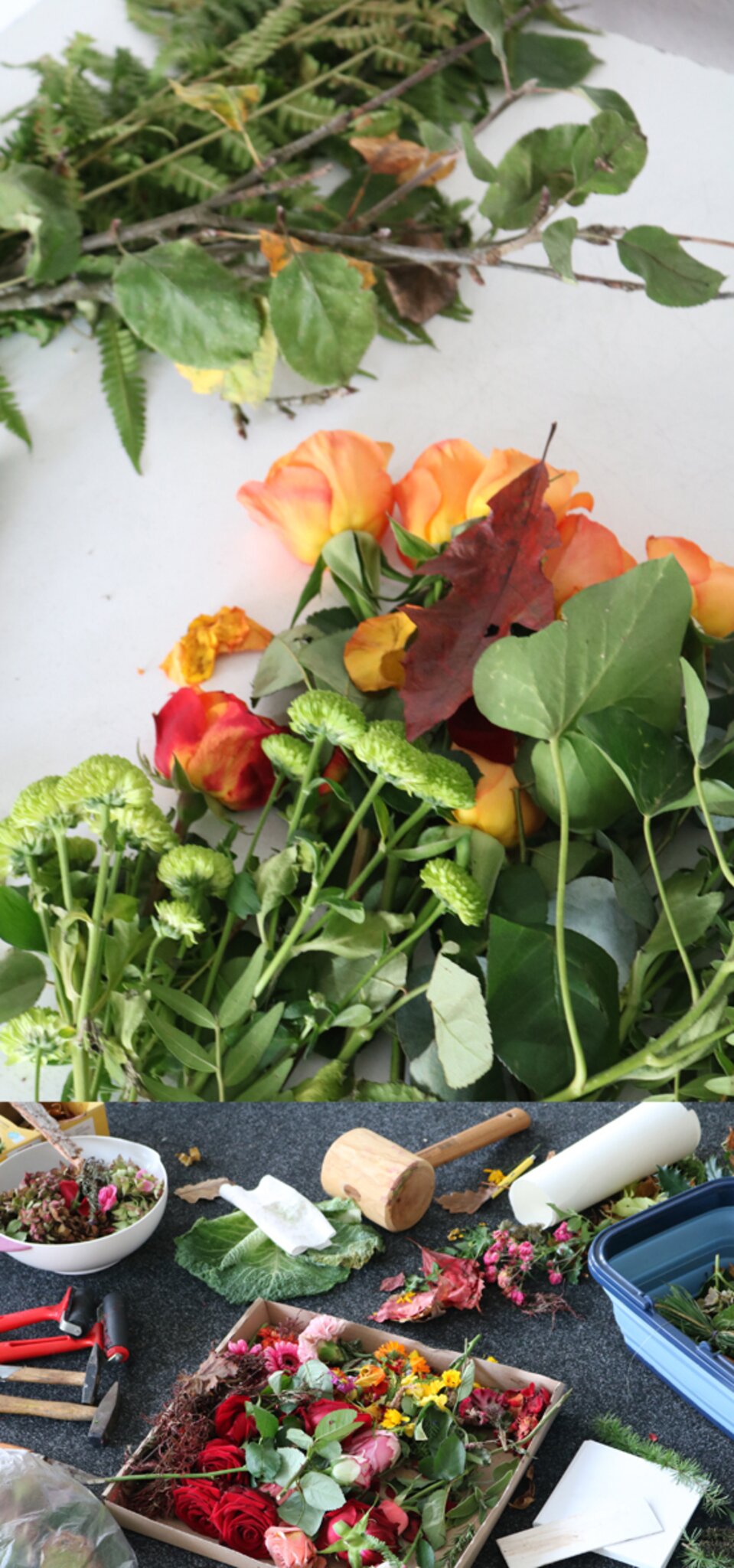 Pflanzenfarben selber herstellen und kreativ sein...