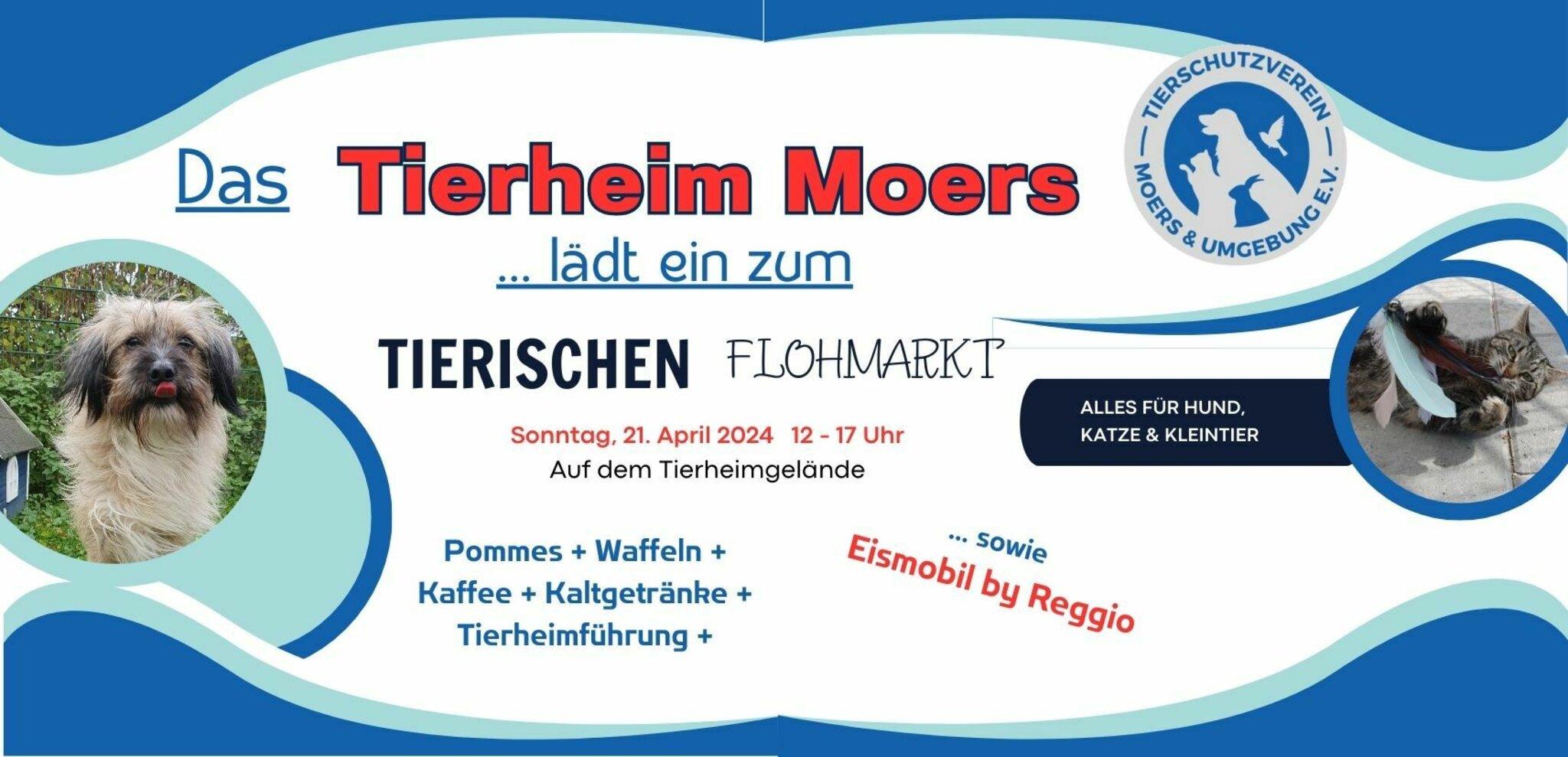 Tierischer Flohmarkt im Tierheim Moers