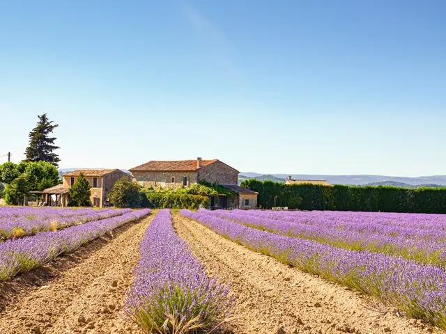 Frankreich | Foto: Foto: Anuschka Dinter-Mathei