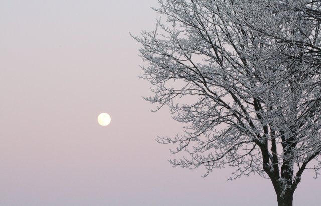 Weihnachtsstimmung, Kalte Jahreszeit, Winterzeit