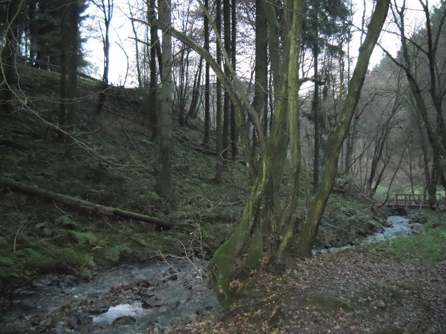 Warten auf den Schnee -