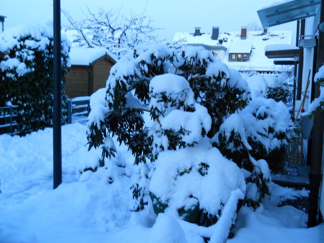 Wann Wird Es Mal Richtig Wieder Winter