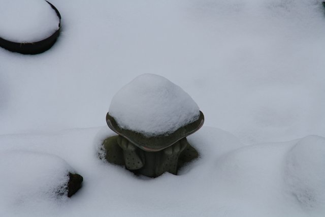 Winter Ade Wann Wird Es Wieder Sommer