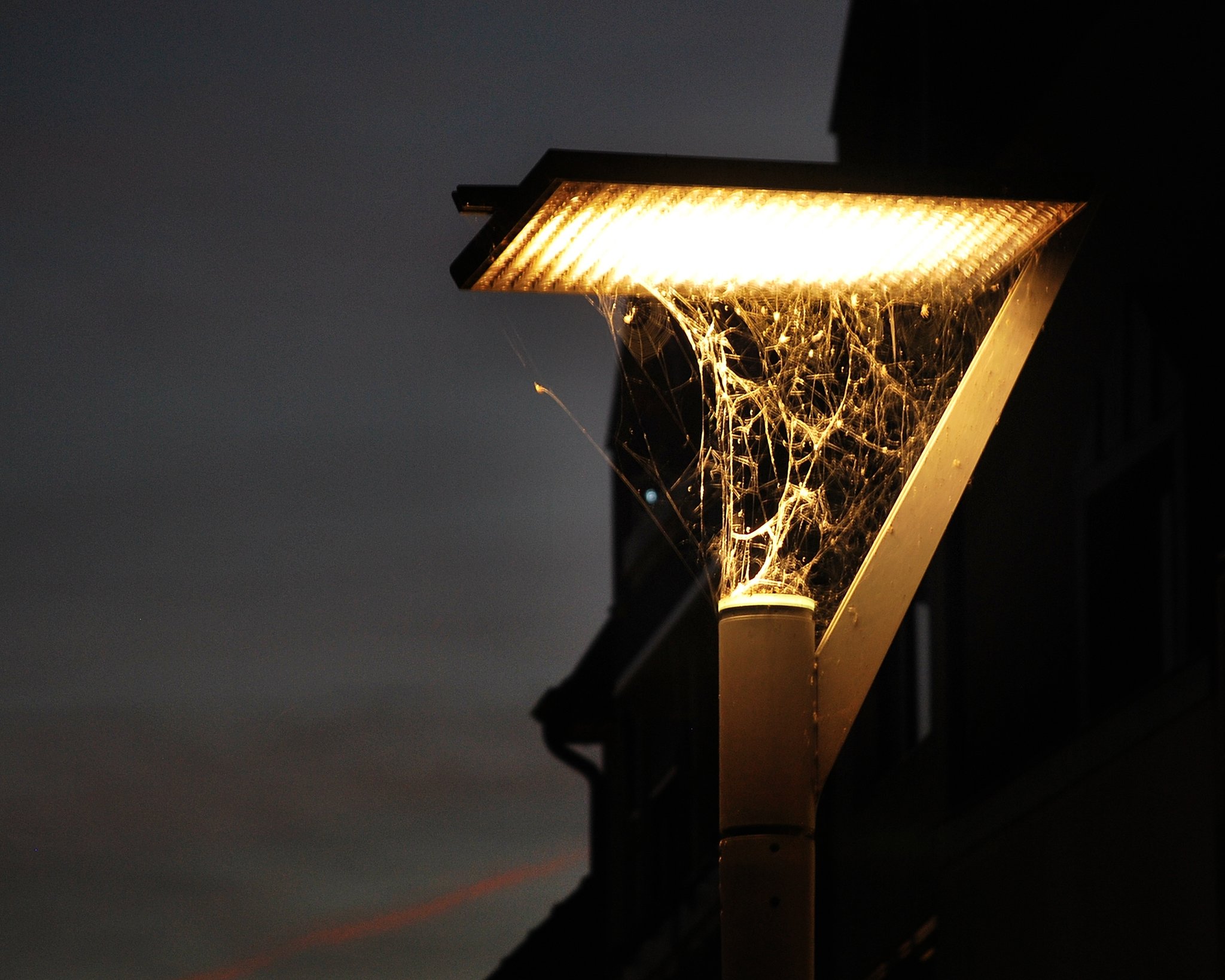 Das Licht bringt es an den Tag