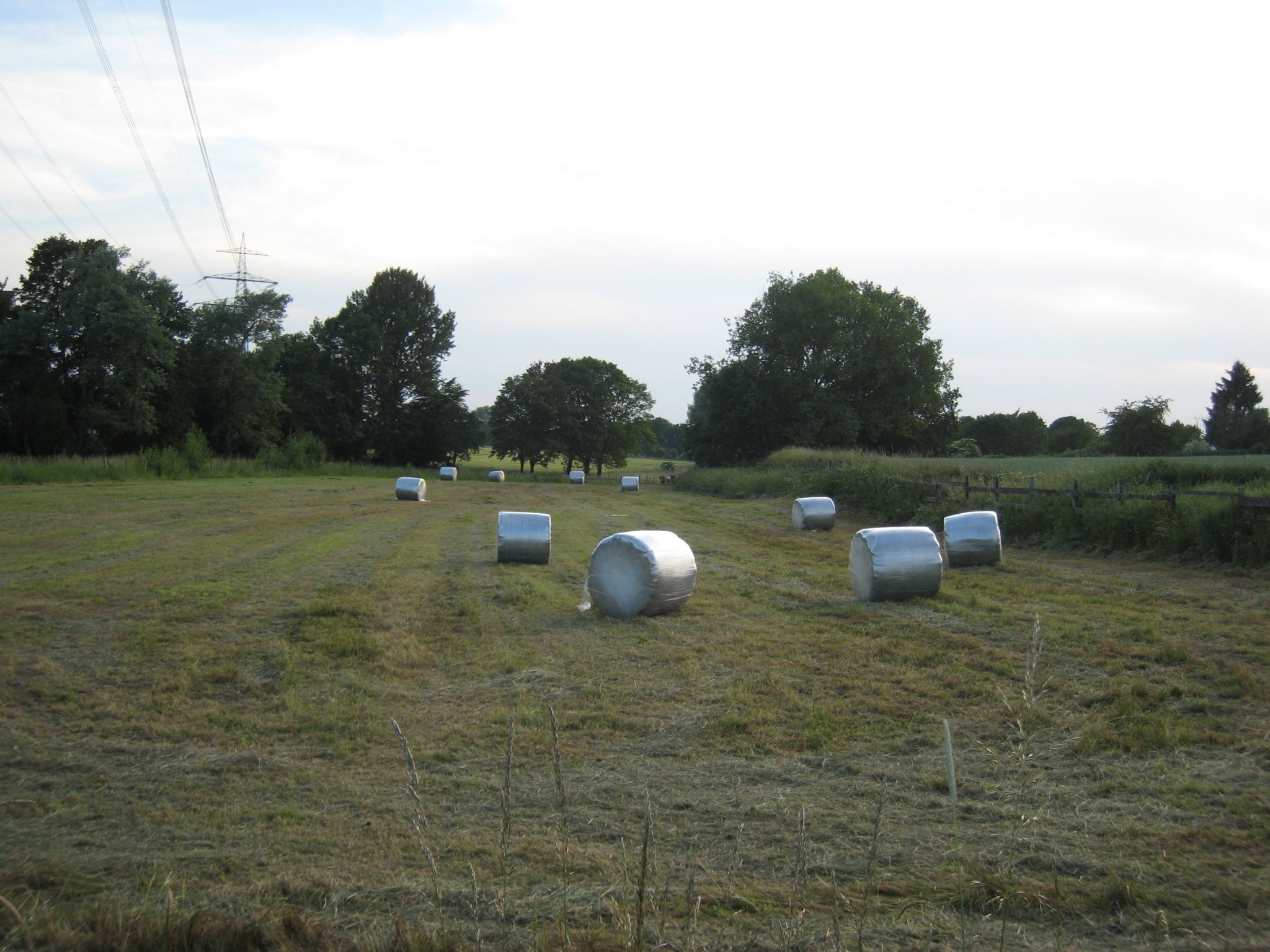 Der Rasen ist gemäht.