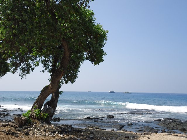 am strand auf hawaii 2012 september
