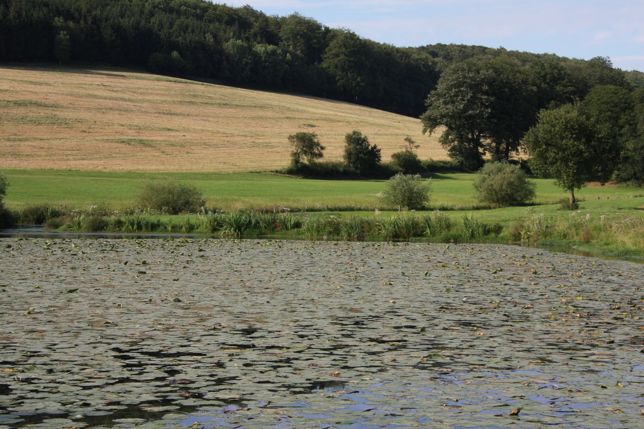 Teich an der Melscheder Mühle
