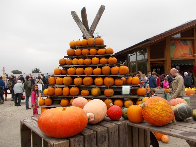 Der Herbst 2013 wurde am Buchholz Hof mit einem Kürbisfest eingeläutet