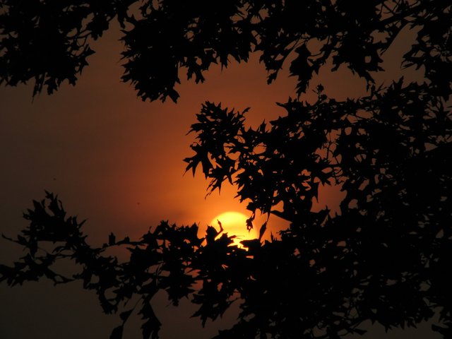 Wenn die Tage grau und gleichgültig werden kann nur die Abendsonne mein Herz erwärmen....