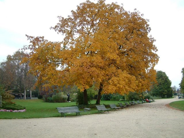 November in Paris