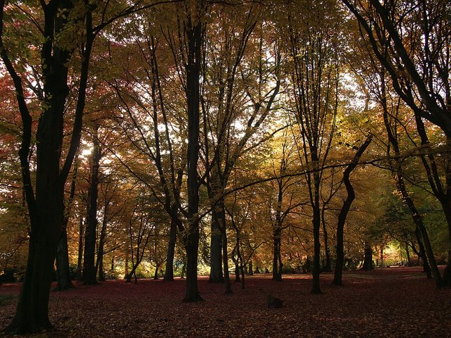 Herbstspaziergang im Herner Stadtpark