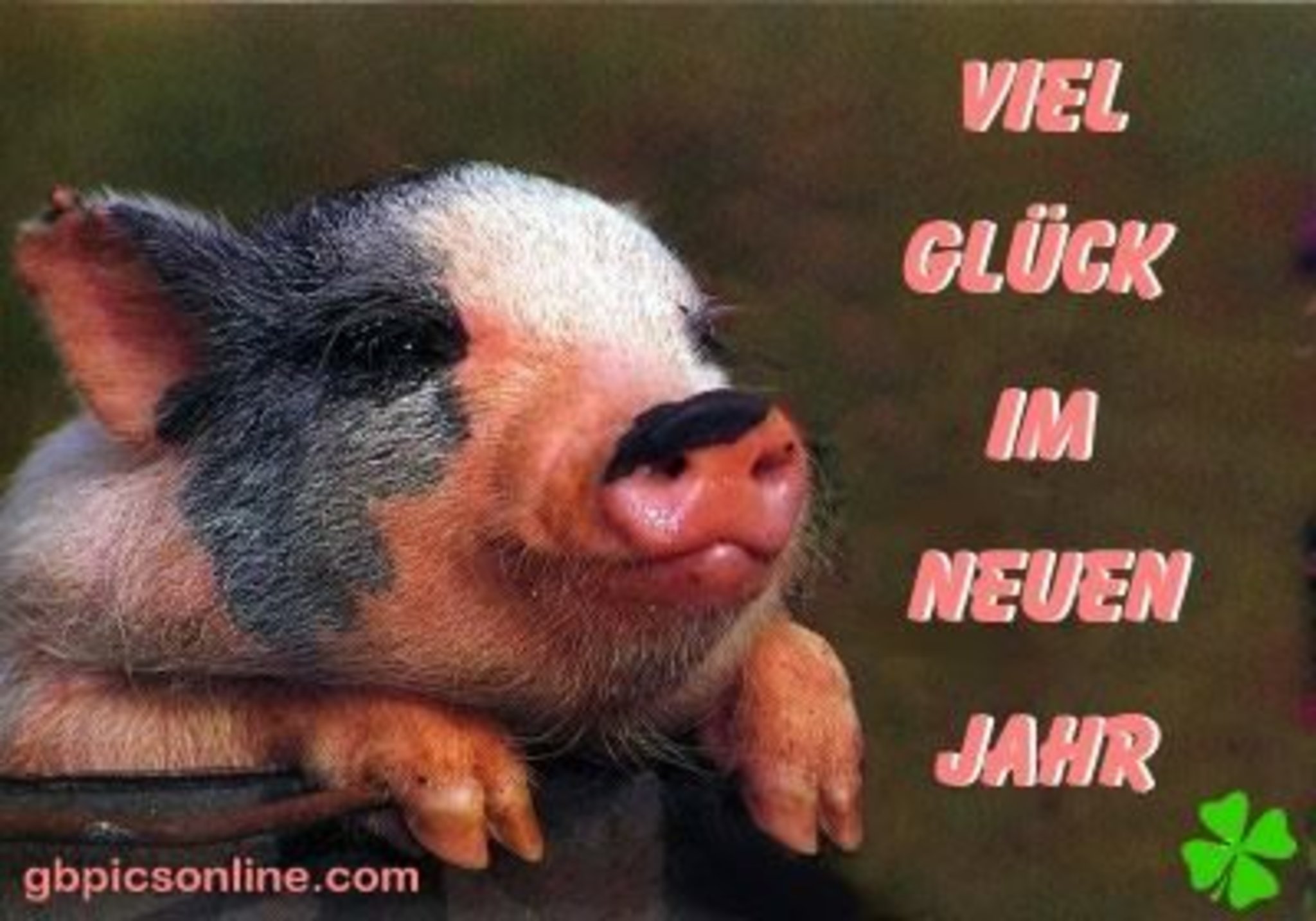 ich wünsche ihnen frohes neues jahr