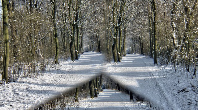 Welchen Weg Willst Du Gehen