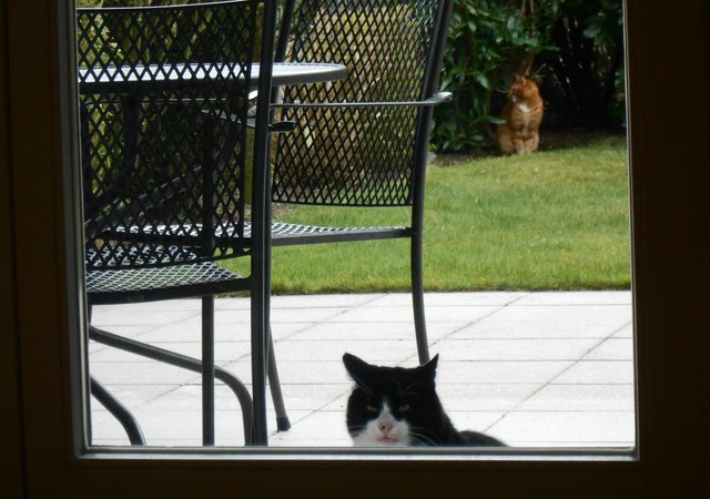 Hallo! Niemand zu Hause?