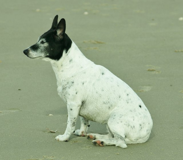 Das Meer riecht entspannend.