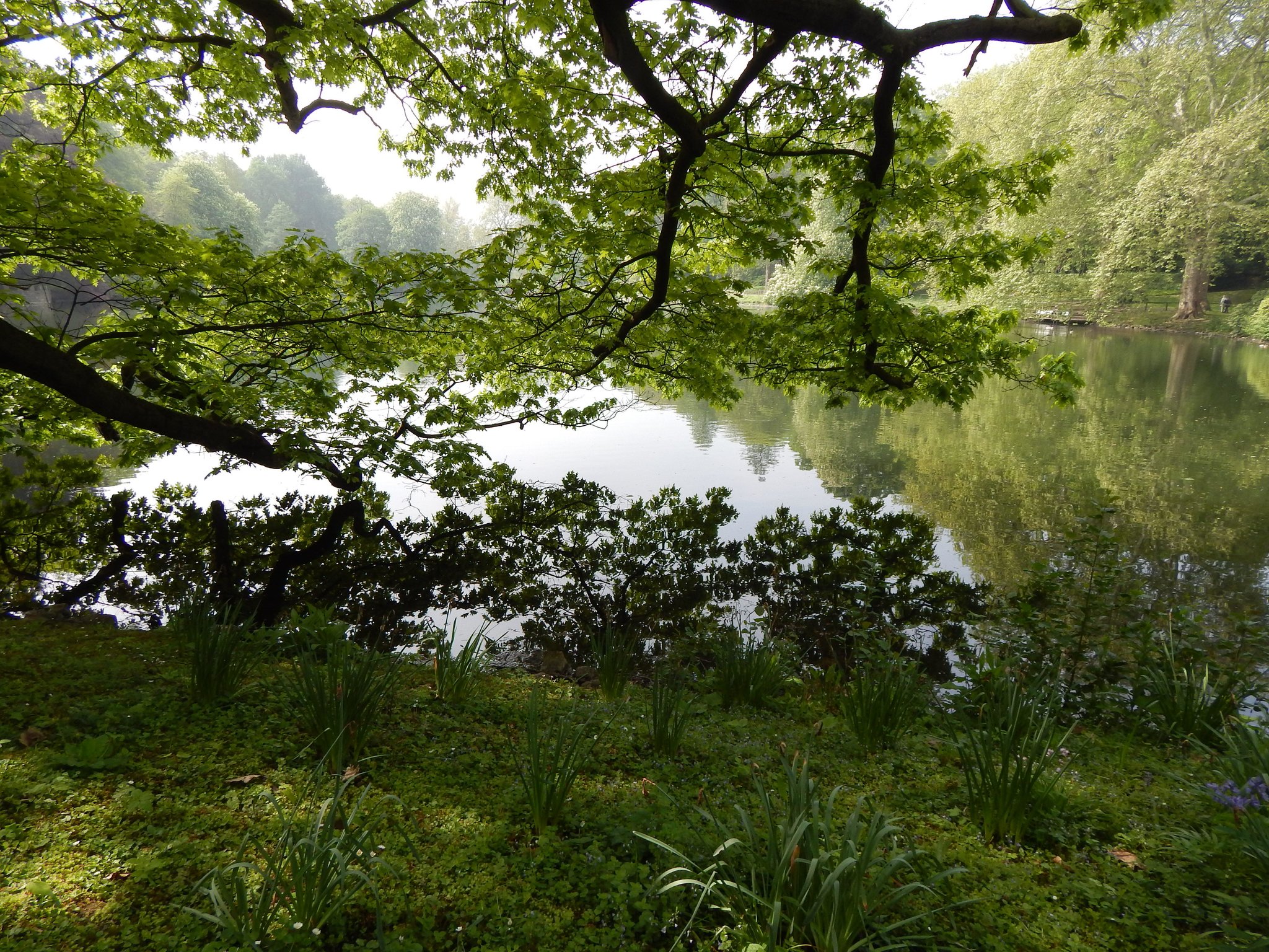 57+ Teich Dortmund, Ihre professionellen teichbauer für gartenteich.