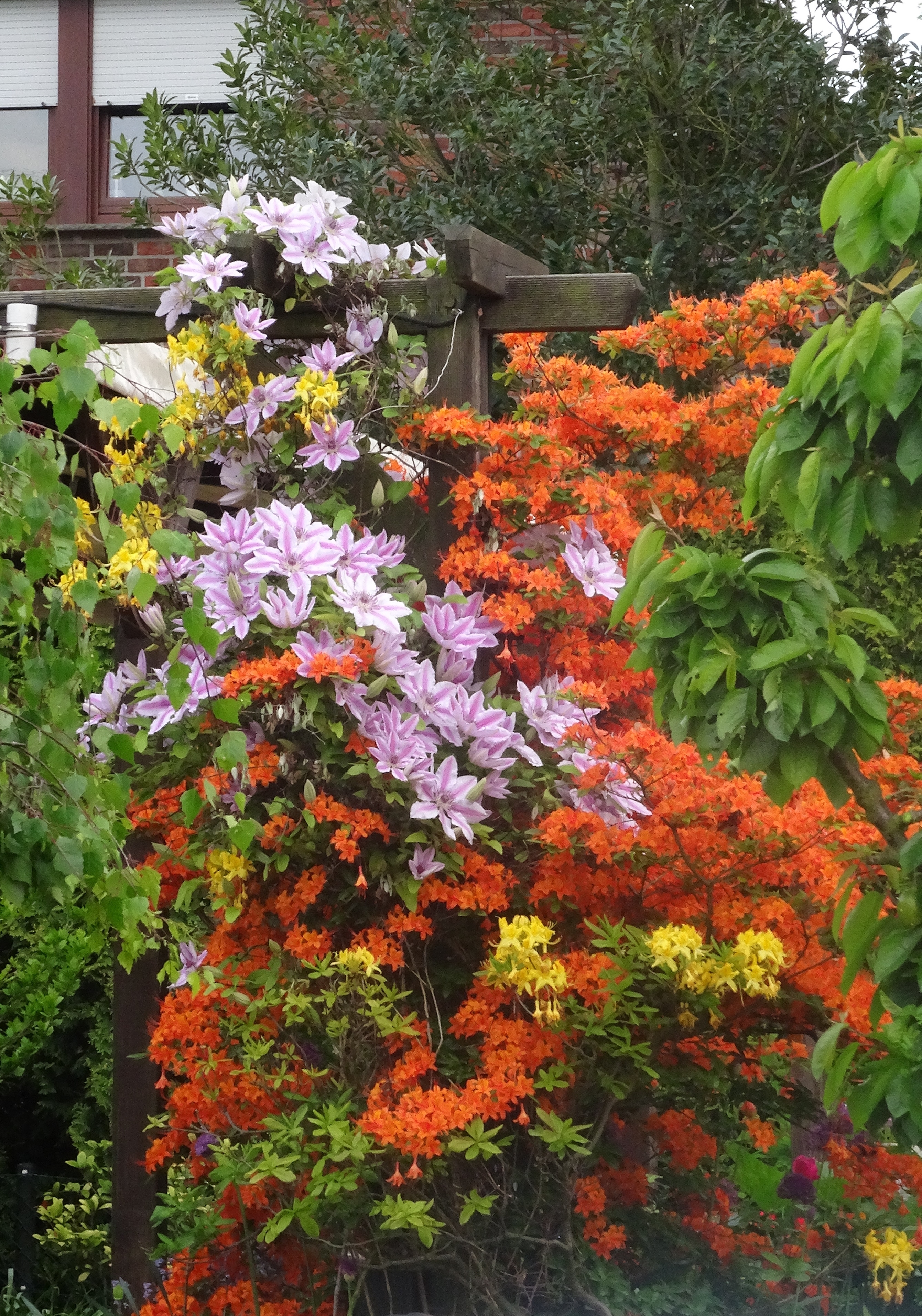 Blumen im Garten.
