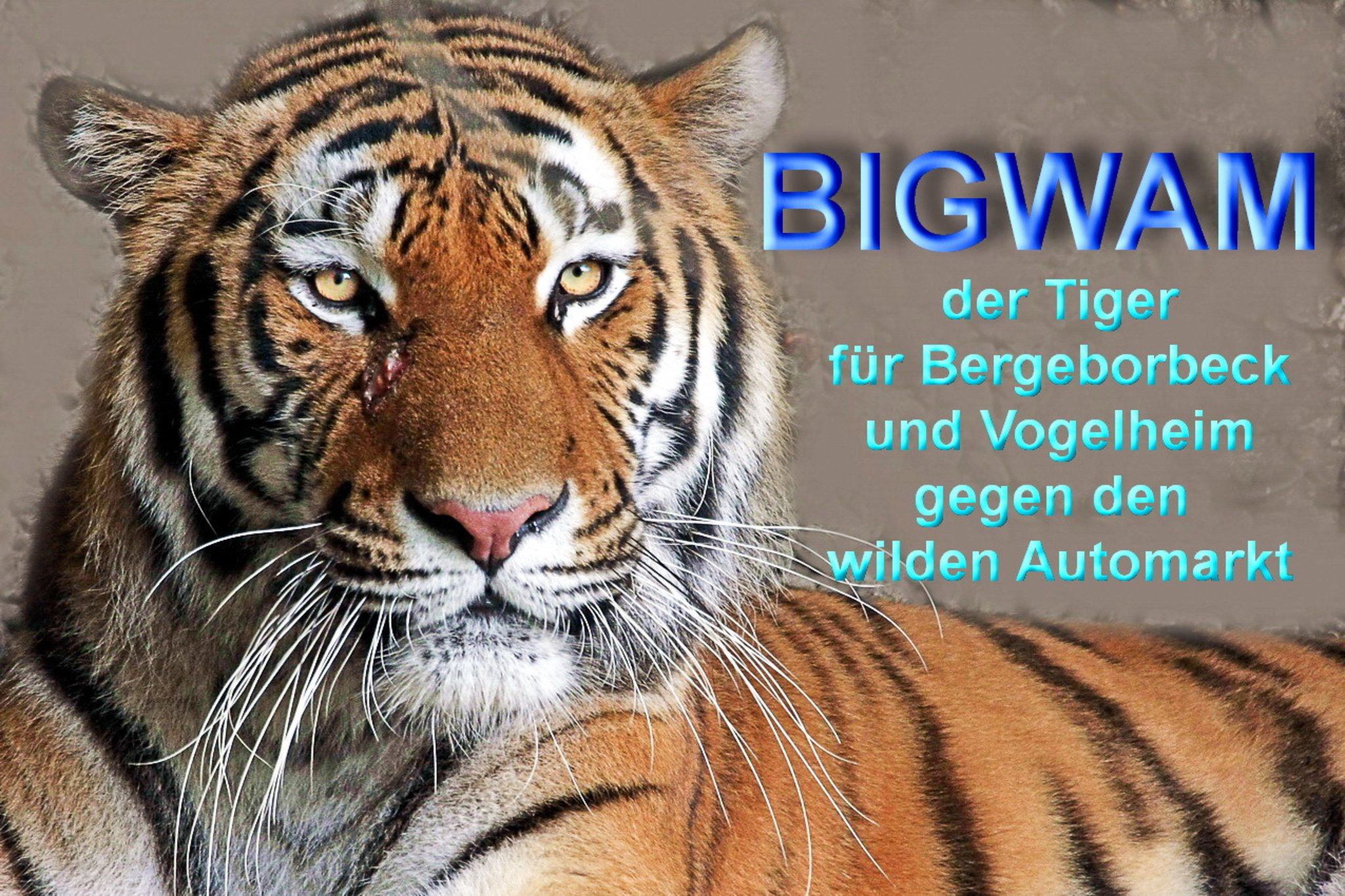 Der Tiger....