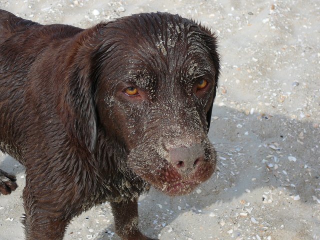 Das Wasser ist ja toll-aber dieser Sand :(
