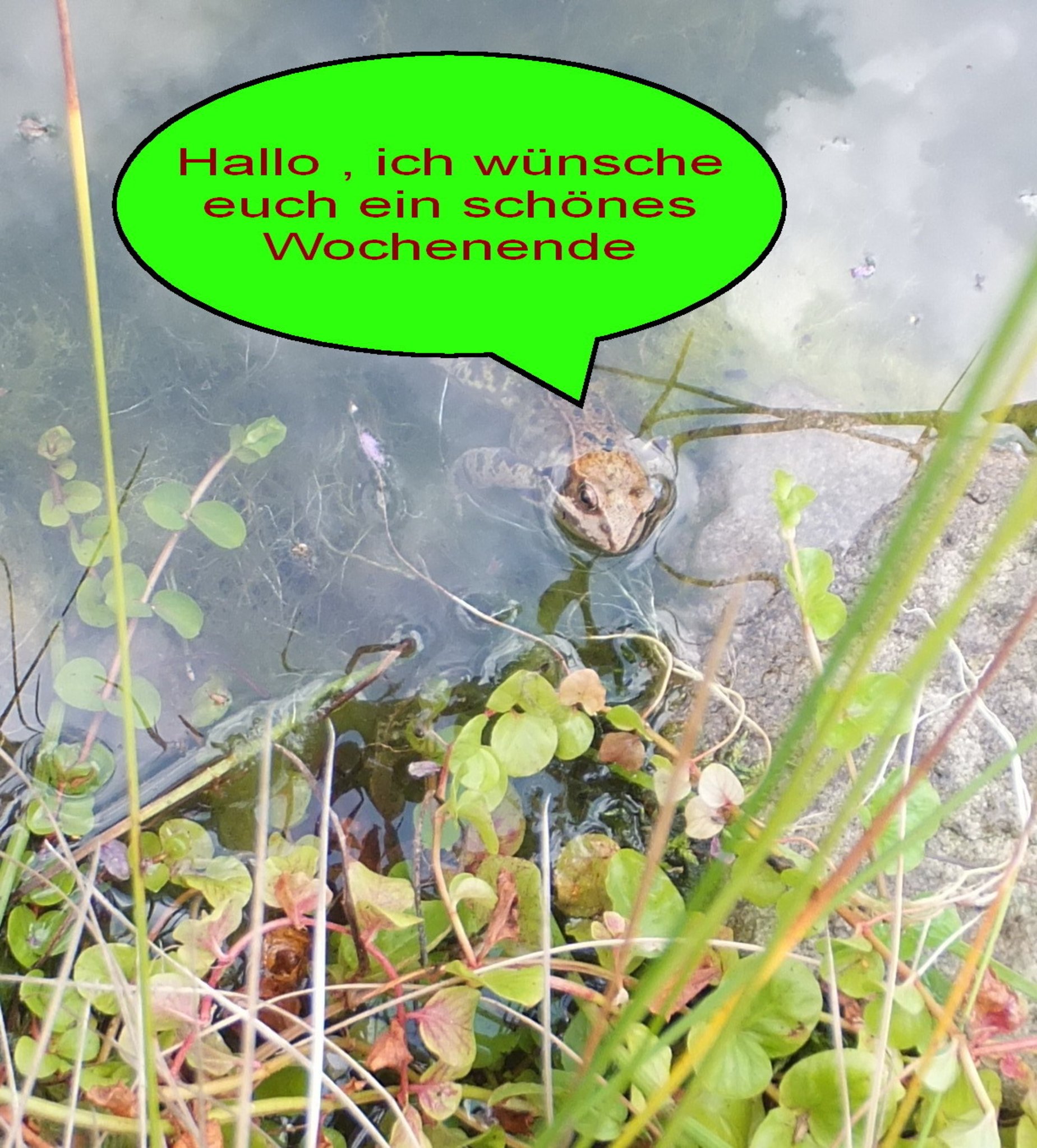 Ich Wünsche Euch Einen Guten Start In Die Neue Woche