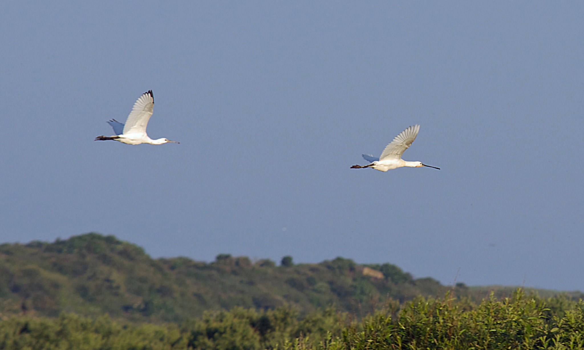 Rückflug vom Frühstück