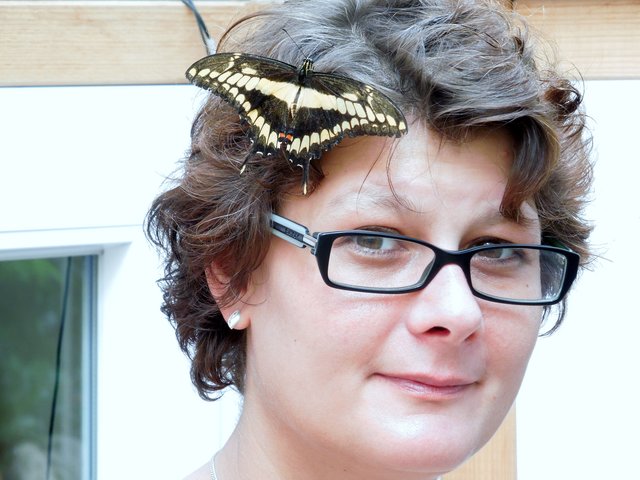 Kaum zu glauben aber wahr, mir flog ein Schmetterling ins Haar.