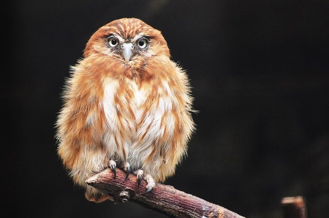 Zoo Berlin im September 2014
