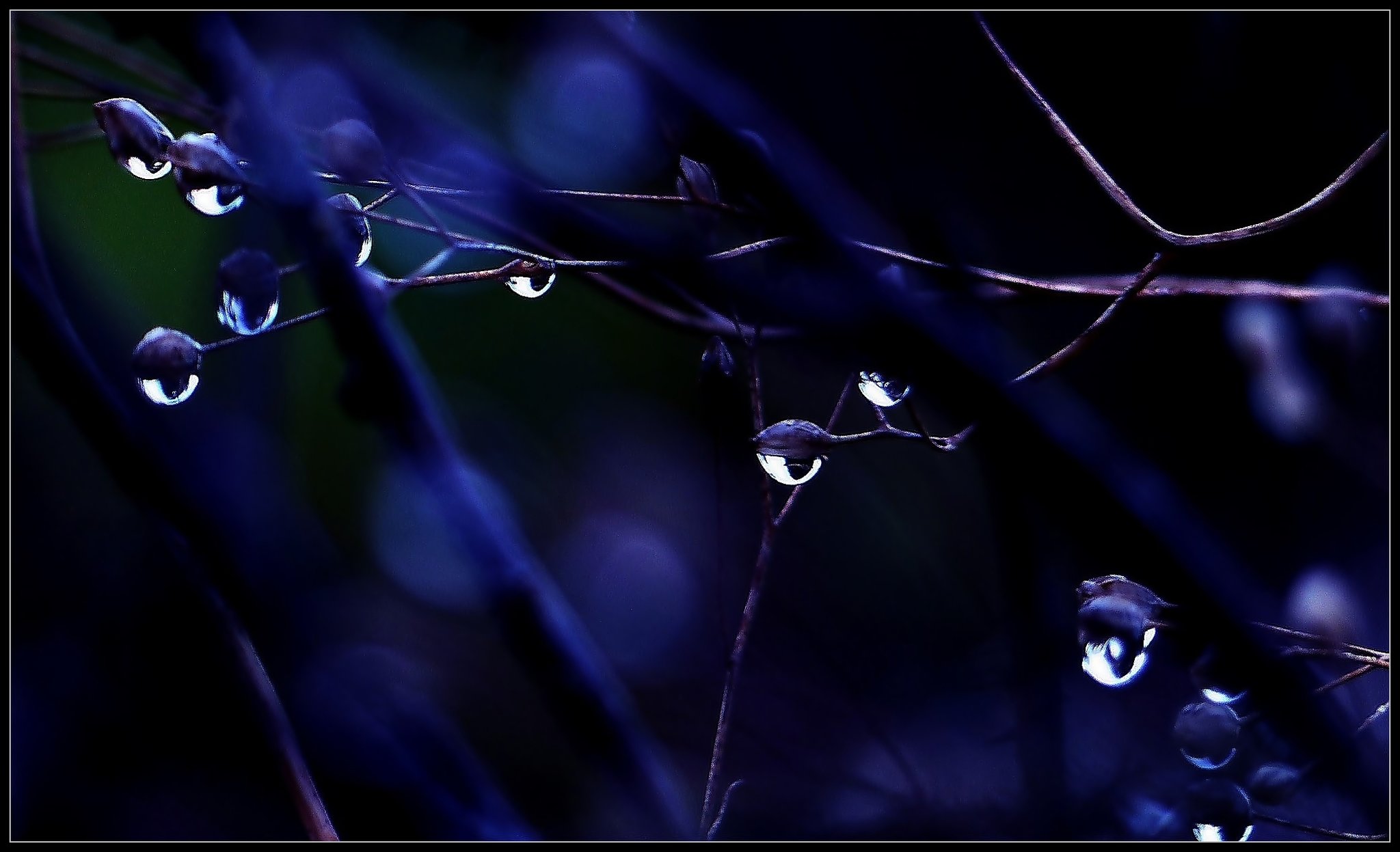 Get Was wir wissen ist ein tropfen Desktop Wallpaper