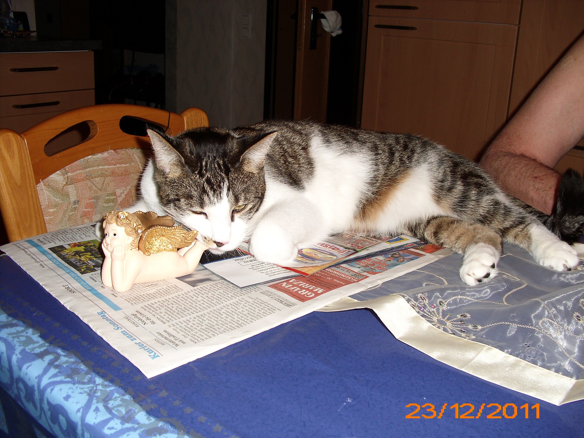 Paul hat einen kleinen Engel